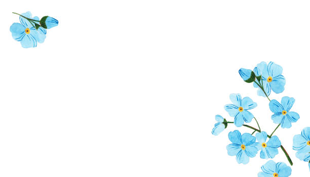 istock Pattern for postcard with place for text with watercolor colors blue - forget-me-not 1307743545