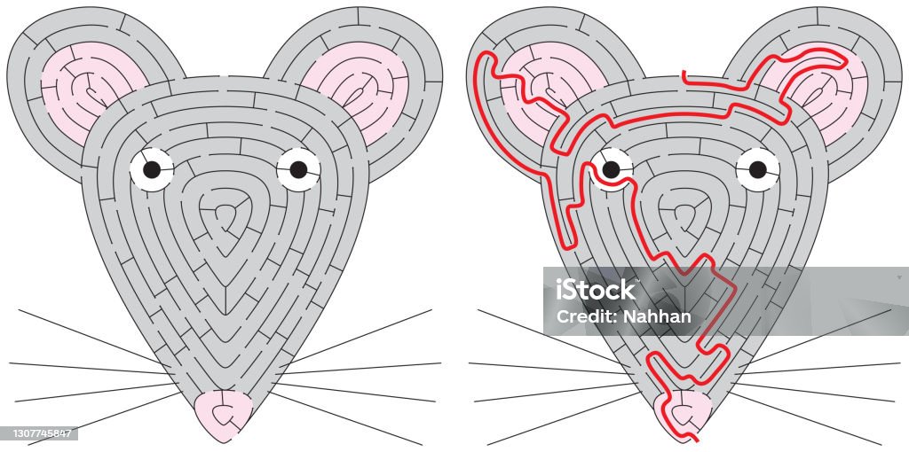Mouse Maze Math Mouse Maze Stock Illustration - Download Image Now - Composition ...