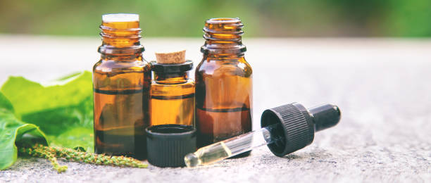 istock Plantain essential oil in a small bottle. Selective focus. 1307747119