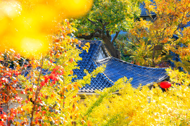 istock Ancient Chinese architecture and ginkgo trees in autumn 1307748658