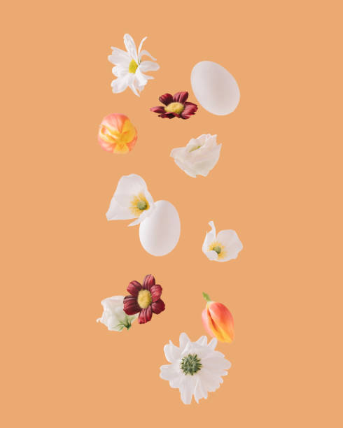 istock White daisies, tulips, roses, Easter eggs and various flowers floating on orange background. Minimal and creative spring concept. 1307750883