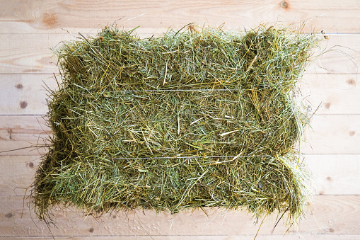 Bale of hay on wooden background, side view