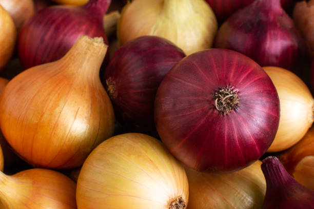 istock Background from red and yellow onions. Healthy vegetable, copy space, macro 1307753351