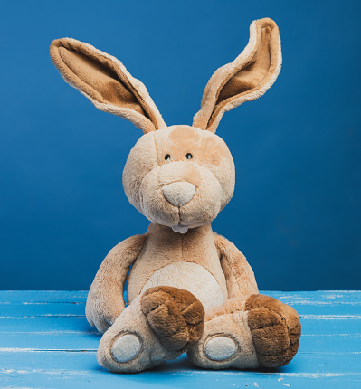 funny beige plush rabbit with big ears and funny face on a blue background, close up