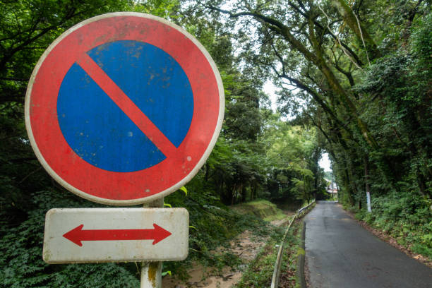 istock No parking sign photo 1307755360