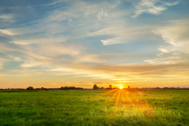 istock Sunset over the horizon, green meadow and clouds on the sky 1307760809