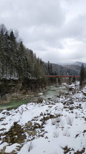 istock winter view of the Carpathian mountains 1307761020