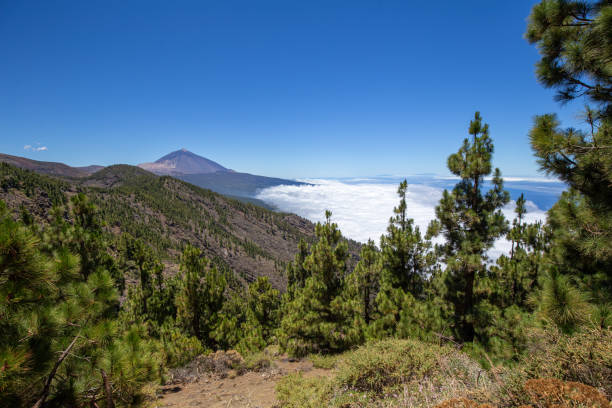 istock Mountain view with Teide volcano above the clouds 1307761963