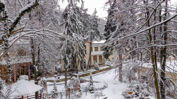 istock Fairy Winter Scene Park Covered With Snow 1307762260