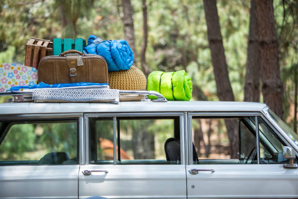 istock picnic in the van over the forest 1307762865