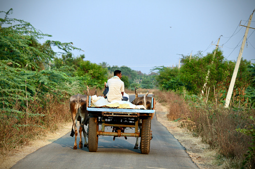 Davangere, Karnataka, India - Two South Indian farmers are riding a bullock cart on a nearby village road.