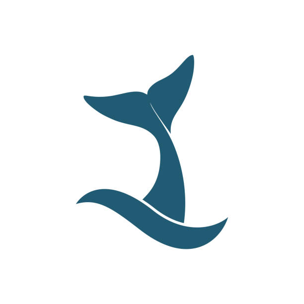 schwanzwal - cetacea stock-grafiken, -clipart, -cartoons und -symbole