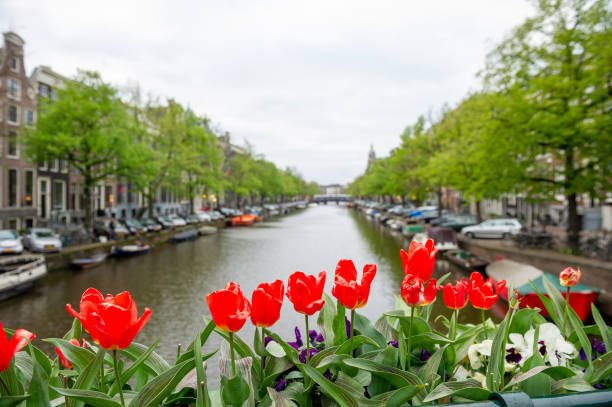 istock Houseboats in the canals, Amsterdam, Netherlands 1307766227
