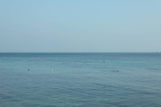 istock Beautiful clear sea against sky, space for text 1307768154