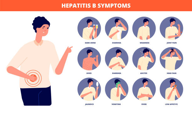 Hepatitis b symptoms. Hepatic awareness day, liver disease signs. Flat human health, patient prevention cancer or cirrhosis utter vector poster Hepatitis b symptoms. Hepatic awareness day, liver disease signs. Flat human health, patient prevention cancer or cirrhosis utter vector poster. Illustration cirrhosis symptoms, disease hepatic symptom stock illustrations