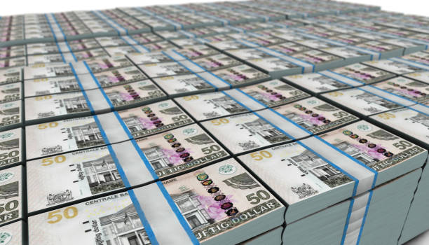 istock Suriname 50 Dollars Banknotes Money Stack on White Background 1307775779