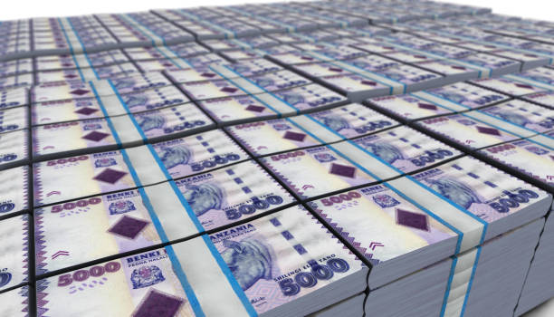 istock 3D Large Stack of Tanzania 5000 Shilling Banknote 1307775817