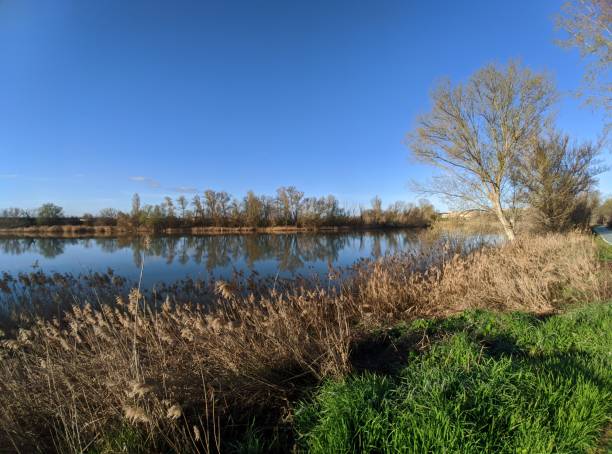istock Douro riverside near Zamora city, Zamora, Spain 1307777430