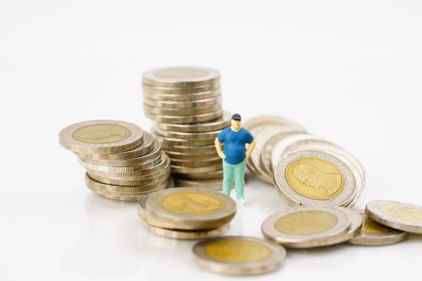 istock The stork market . 1307784282