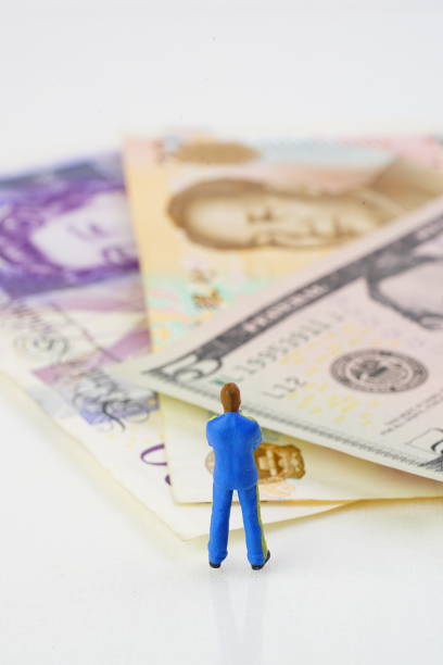istock The stork market . 1307784370
