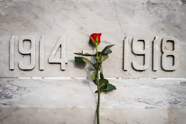 Photo of Single red rose stood on white marble world war memorial statue 1914 to 1918 first and second remembrance day anniversary close up
