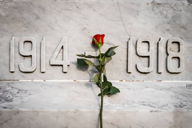 pojedyncza czerwona róża stała na białym marmurowym pomniku upamiętniającym ii wojnę światową w latach 1914-1918 pierwsza i druga rocznica dnia pamięci z bliska - 1918 zdjęcia i obrazy z banku zdjęć