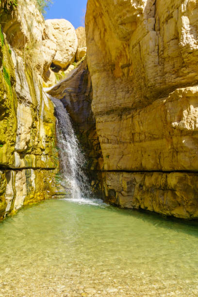 istock Hidden waterfall, Arugot stream, Ein Gedi Nature Reserve 1307789256