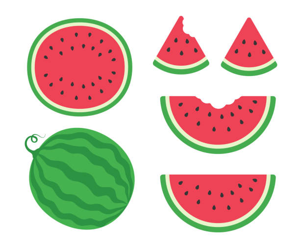 ilustraciones, imágenes clip art, dibujos animados e iconos de stock de una deliciosa sandía roja dulce que se come comúnmente durante el verano para frescura. - watermelon