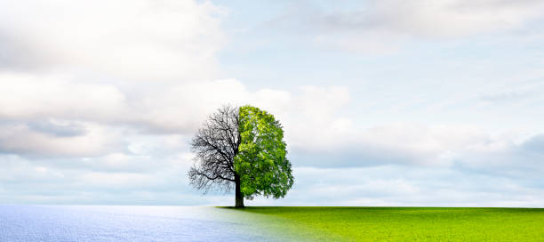istock Season change from winter to summer 1307794188