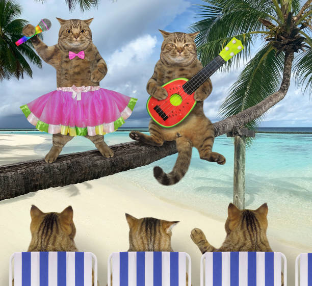 istock Two cats sing song on palm tree 2 1307795760