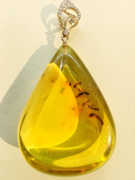istock transparent Baltic amber pendant with prehistoric insects inside. 1307797280