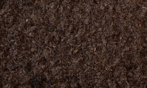 Fertile soil texture background. Gardening or planting concept with copy space. Natural pattern seen from above, top view. Agriculture, ecology layout Peat stock pictures, royalty-free photos & images