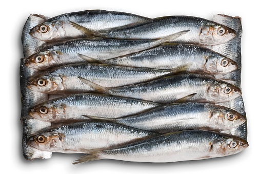 Sardines arrangement, ideal for background or digital montage into a can.