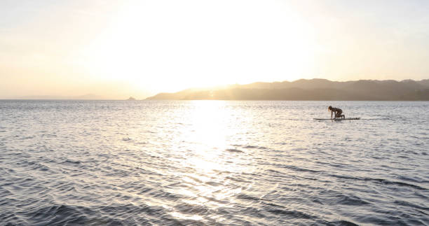 istock Young woman paddles through open waters on SUP at sunrise 1307798992