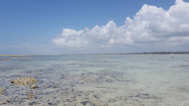 istock Sea view with turquoise water and blue sky 1307798993