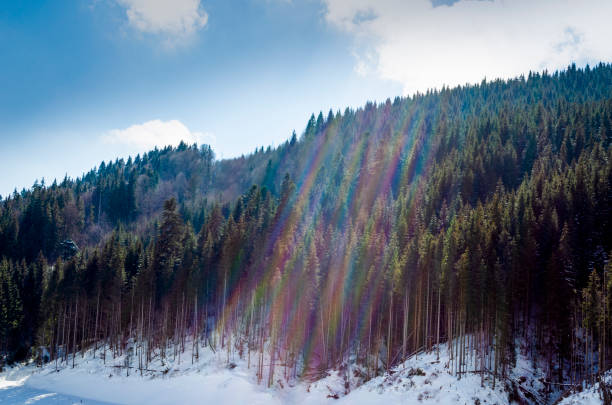 rainbow in the forest on the montain - rain snow sun beauty imagens e fotografias de stock