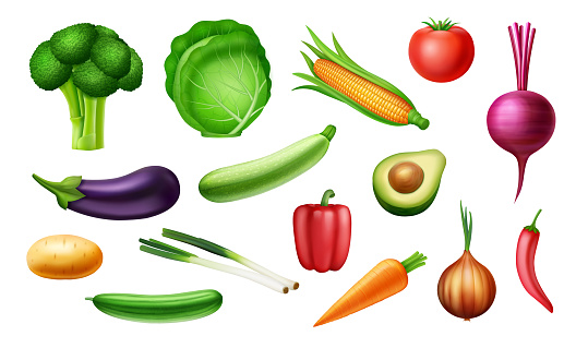 Vegetables Set. Vector illustration. Broccoli, cabbage, corn, tomato, eggplant, zucchini, avocado, potatoes, onions, cucumber, salad peppers, wet peppers, peppers, beets.