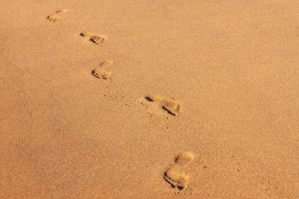 istock Human footprints in the sand 1307803357
