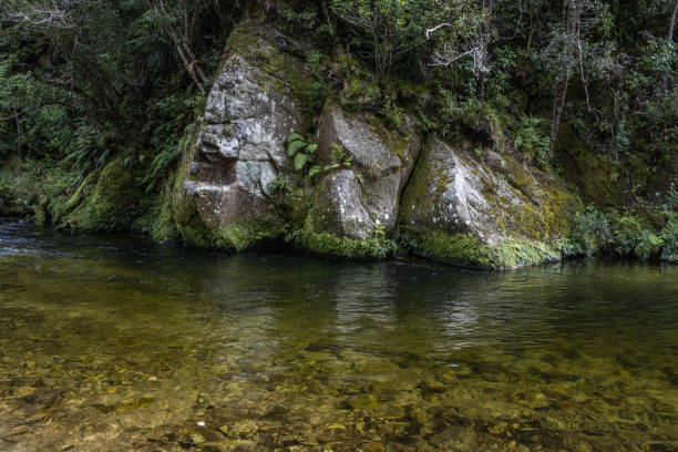 istock Wainui River, Abel Tasman National Park 1307804587