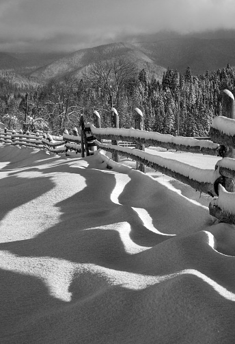 Grayscale. Picturesque waved shadows on snow from wood fence. Alpine mountain winter hamlet outskirts, snowy path, fir forest. High resolution image with great depth of field.