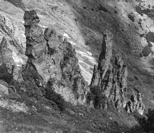 istock Grayscale. Summer mountain slope with picturesque rock formations. Shpyci mountain, Carpathian, Ukraine. 1307805608