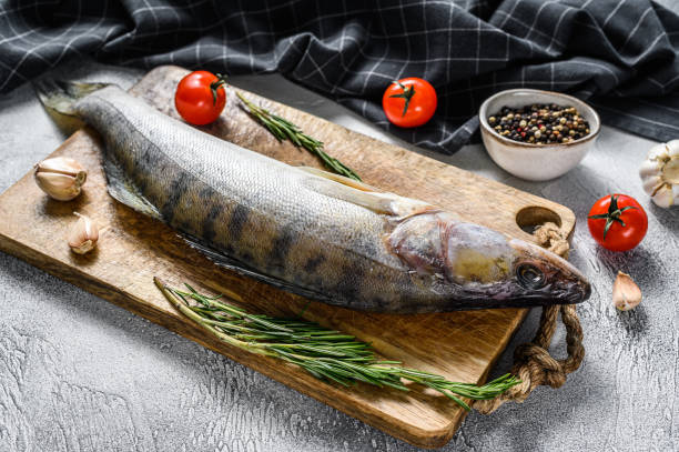 istock Zander, walleye with herbs. Raw fish. Gray background. Top view 1307805690