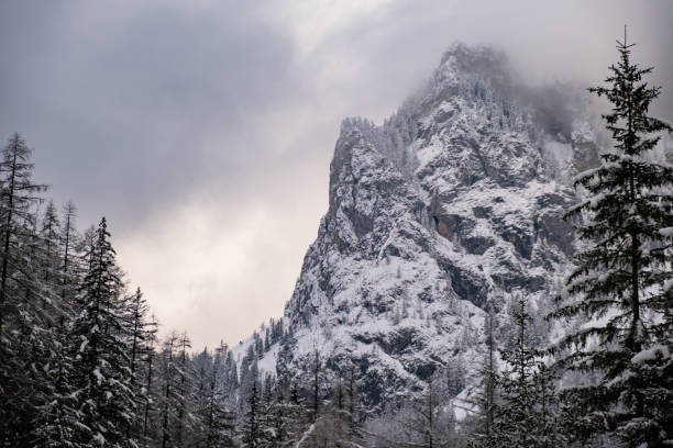 istock Road through moody snowy pine forest in winter, snow fall. 1307806728