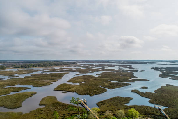 istock Drone Perspective over Northeast Florida Wetlands 1307807029