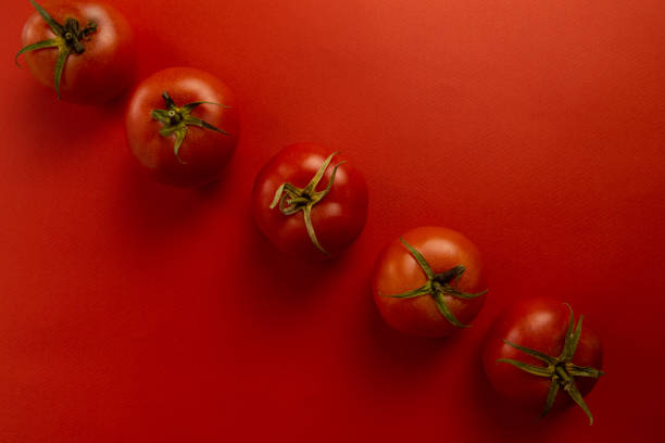 istock Fresh tomatoes. Red tomatoes on a red background. Tomatoes on a red background. 1307807975