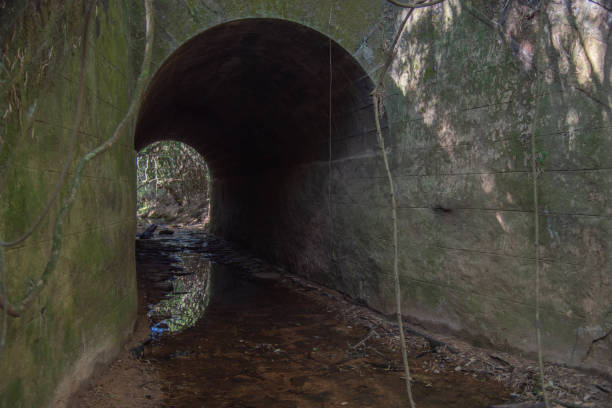 istock Old abandoned railway bridge in southern Brazil. 1307809266