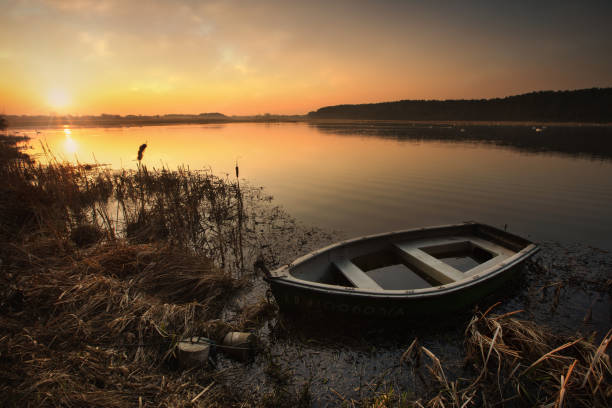 istock Sunrise on the lake 1307813661