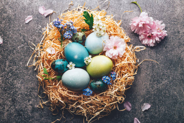 istock Homemade naturally dyed eggs in pastel colors 1307814884