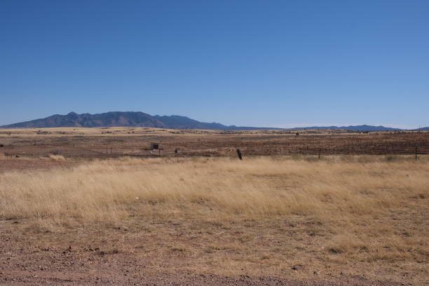 istock Sonoita AZ landscape 1307822774