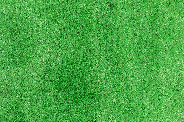 istock Green grass photo 1307825102
